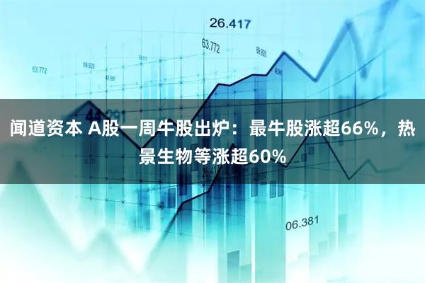闻道资本 A股一周牛股出炉：最牛股涨超66%，热景生物等涨超60%